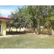 Transient House And Van For Rent