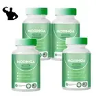 4x Rosabella Moringa 60Capsules for Immune Support,Gut Health&Vitamins 800mg~-;;