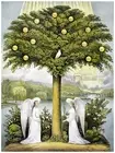 Decorative Poster.Interior wall art design.Decor Art.Tree of Life.Angels.4165