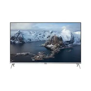 TECO 東元 43" TL43GU2TRE 4K Google TV液晶電視