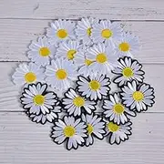 RIZGHWOY Embroidered Clothes Patches Set, 20pcs Black & White Garment Applique Stickers for DIY Clothing Decoration, for Covering Flaws, Scarves, Hats (Black and White Mixed)