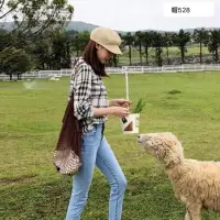 在飛比找蝦皮購物優惠-夏季素面上膠草編報童帽❤️