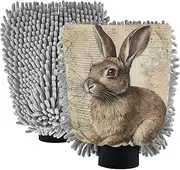 XYMZR Vintage Rabbit Floral Absorbent Microfiber Car Wash Mitt, Funny Cute Anime Scratch Free for Cars Cleaning, Home Cleaning Mitts, 2 Pack, 10.24” L x 7.09” W