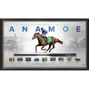Anamoe Signed Whip Display Official Print Framed 2022 Cox Plate Champion