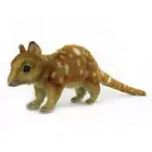 HANSA AUSTRALIA QUOLL REALISTIC CUTE SOFT ANIMAL PLUSH TOY 57cm L **NEW**