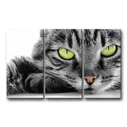 Cat Wall Art Painting 3 Piece Black and White Green Eye Cat Pictures Prints O...