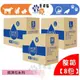 【幸運貓】寵物物語 整箱 寵物尿布墊 經濟包 S-100入 M-50入 L-25入