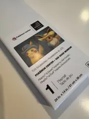 Pikachu & Eevee Self-Portraits Playmat IN HAND Pokemon Center x Van Gogh Museum