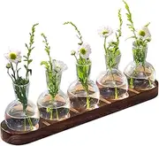 Plant Propagation Station, Retro Terrarium with Wooden Stand, Glass Vase Plant Holder for Hydroponics Water Plants Cutting, Home Garden Offices Decor, Plant Holder Lover