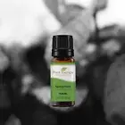 Organic Essential Oils - Palmarosa - Lemon - Chamomile - Spearmint - Tea Tree