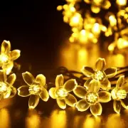 JACUXLSS Fairy Flower String Lights Indoor Decorations, 33ft 100 LED Plug in ...