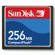 SanDisk 256MB CompactFlash CF Memory Card SDCFB-256/SDCFJ-256 Genuine w/case new
