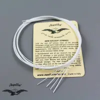 在飛比找Yahoo!奇摩拍賣優惠-Aquila NYLGUT 21. 23. 26吋 烏克麗麗