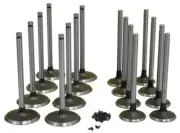 Chevy 3.1L 3.1 VIN J Grand Prix Lumina Intake & Exhaust Valves, Locks 1999-05