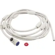 Feed Hose, Zod Polaris 180/280/380/3900, w/Wall Fitting : G5