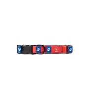 Newcastle Knights NRL Dog Collar