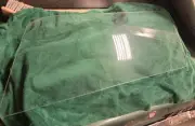 1971 1972 1973 Ford Mustang Fastback Door Glass Left Driver Side Clear Window