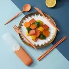 Microwave Safe Dinnerware Lightweight Tableware Set Portable with Storage Box 4
