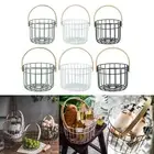 Egg Storage Basket Organizer Vegetable Container Metal Fruit Basket Chicken Wire