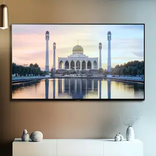 【Panasonic】65吋4K LED 智慧顯示器(TH-65MX950W)