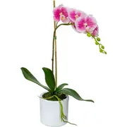 48cm Potted Phalaenopsis Orchid in Pot Fake False Artificial Flowers - Mauve
