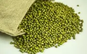 Ceylon Mung Bean Seeds | Fresh & Organic High Germination Rate