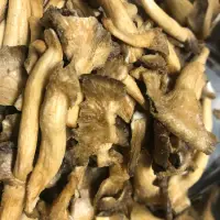 在飛比找蝦皮購物優惠-［秀珍菇餅乾］500公克 超值豪華包 秀珍菇 袖珍菇 香菇餅