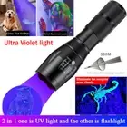 UV Ultra Violet Light & Flashlight Blacklight 2 Modes Zoom Torch Inspection Lamp