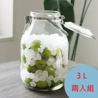 在飛比找PChome24h購物優惠-日本【星硝Cellarmate】不鏽鋼把手式密封瓶3L 兩入