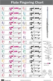 Flute Fingering Chart with Color-Coded Notes, Learn Flute Technique Suitable for