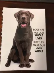 2025 diary Choc Labrador With Quote A5 Week To View