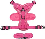 GUPEC Cat Harness with 1.5m Traction Leash for Small Medium Dog No Pull Breathable Reflective Adjustable