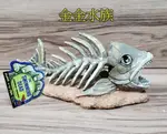 ZBR8 夜光 食人魚 水族 卡通 造景 螢光色彩 裝飾