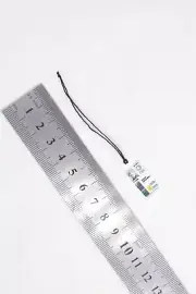 A125 1/6 Scale HOT Journalist ID Card War correspondent Reporter 12" Figure TOYS