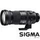 SIGMA 150-600mm F5-6.3 DG DN OS Sports (公司貨) 全片幅微單眼鏡頭 超望遠變焦鏡頭 飛羽攝影 拍鳥