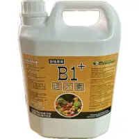 在飛比找蝦皮購物優惠-現貨【全館590超取免運】B1+活力素 微綠 開根劑 定植、