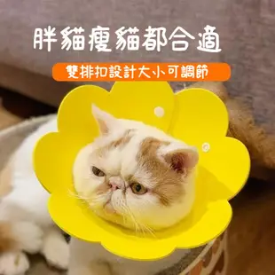 🐾24H出貨🐾太陽花項圈 伊莉莎白圈 防咬圈 防舔 頭套 太陽花圈 伊莉莎白圈 貓頭套 貓咪頭套 防舔圈