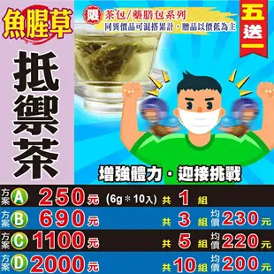 【魚腥草抵禦茶▶10入】買5送1║薄荷紫蘇 桔梗茶 ║非常時期 防護養身 花草茶包 沖泡茶飲