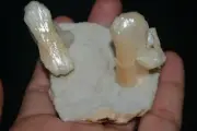 stilbite on chalcedony mineral specimen india #529