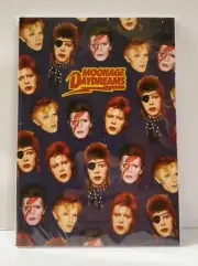 Central 23 England UK David Bowie Moonage Daydreams Notebook Blank Journal Rare