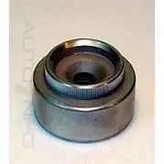 IBS Disc Caliper Piston - DB7165