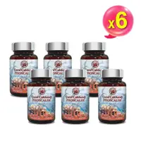 在飛比找PChome24h購物優惠-【台灣康田】珊瑚鈣&魚骨鈣 Coral Calcium&PH