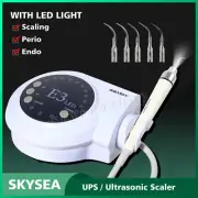 Dental Ultrasonic Piezo Scaler LED Handpiece Fit Woodpecker EMS + 5*Tips