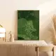 Angel 北歐裝飾畫 FROEST 英國設計插畫 小眾復古森系 抽象畫 ins 家飾 客廳掛畫 空間設計 壁貼 壁畫