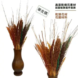 ⭐永生花⭐ 手工花 乾燥花 天然素材 裝飾品 乾燥高粱 紅高粱乾燥花 乾燥花材 麥穗 稻穗 乾燥花材 麥穗 大麥 花圈材