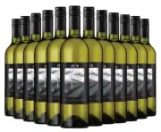 1838 Reserve Sauvignon Blanc 2024 Dozen