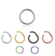 Nose Lip Ear Septum Eyebrow Tragus Cartilage Surgical Steel Body Piercing Hinged Hoop Clicker Ring