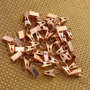 100 Pcs Curtain Accessory Drape Hooks for Curtains Drapery Clips