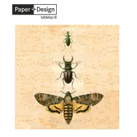 在飛比找momo購物網優惠-【Paper+Design】Bugs(餐巾紙 蝶谷巴特 餐桌