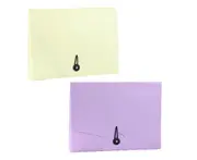 2 Pack File Organizer 12 Pocket Expanding File Folder with Labels Portable Filing Folder
